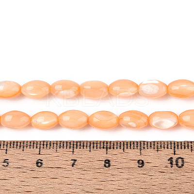 Natural Trochus Shell Beads Strands SHEL-K006-19-01G-1