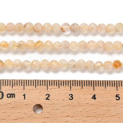 Natural Citrine(Heated) Beads Strands LS-G-G155-B03-01-1