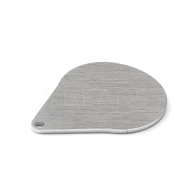 Tarnish Resistant 304 Stainless Steel Pendants LS-STAS-F271-05E-P-1