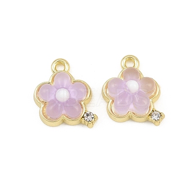 Alloy & Resin Pendants RE-CBA1FD3-15G-1
