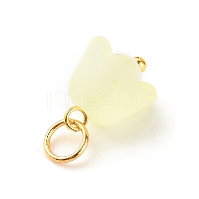 Transparent Acrylic Charms PALLOY-JF01604-01-1