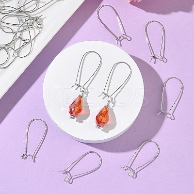 SHEGRACE Brass Kidney Ear Wire XGR0004P-43P-1