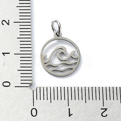 Non-Tarnish 304 Stainless Steel Charms LS-X-STAS-C097-63P-1