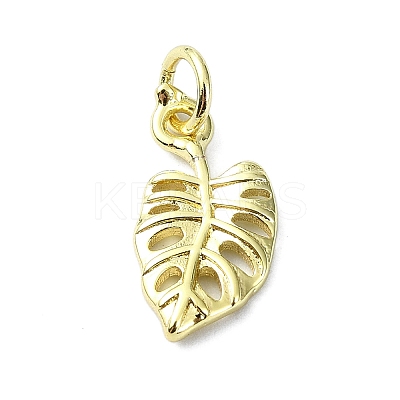 Brass Pendants KK-H475-35G-01-1