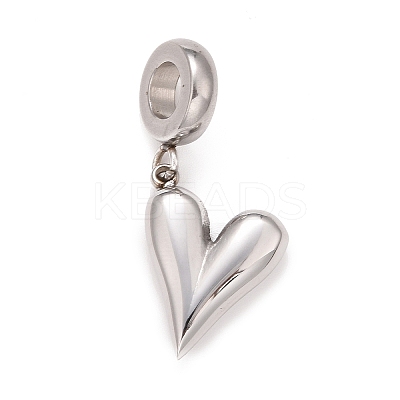 Non-Tarnish 304 Stainless Steel European Dangle Charms LS-STAS-I194-16P-1