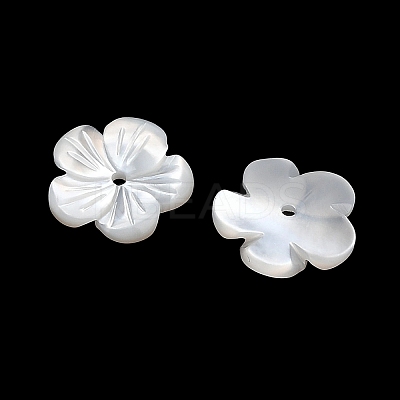 Natural White Shell Beads SH-CBA93AD-07B-1