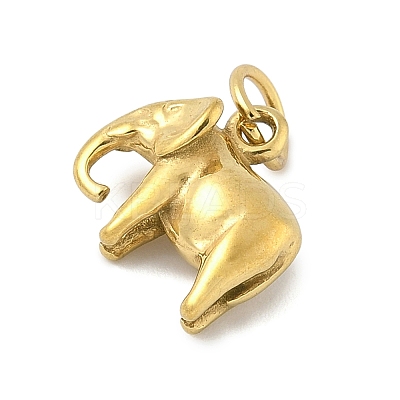 304 Stainless Steel Charms STAS-P391-01C-G-1