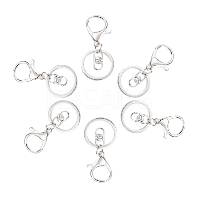 Iron Alloy Lobster Claw Clasp Keychain KEYC-D016-S-1