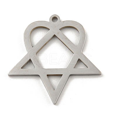 Non-Tarnish 304 Stainless Steel Pendants STAS-R228-03P-1