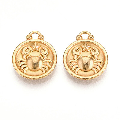 304 Stainless Steel Pendants STAS-N109-148G-04-1