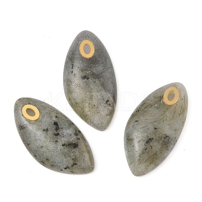 Natural Labradorite Pendants STAS-P380-80G-03-1