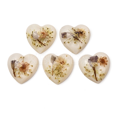 Transparent Resin Cabochons RESI-K033-12A-1