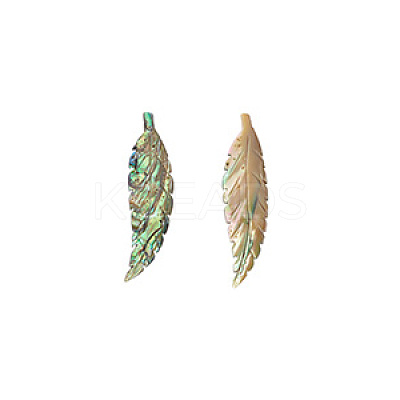 2Pcs Handmade Natrual Paua Shell Carved Big Pendants FIND-BC0013-54-1