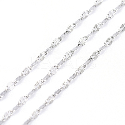 Tarnish Resistant 3.28 Feet 304 Stainless Steel Dapped Chains X-CHS-F011-15A-P-1