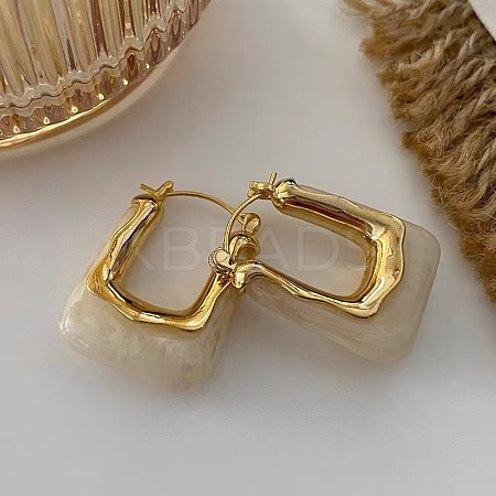 Zinc Alloy Resin Hoop Earrings FS-WG1C3F9-01-1