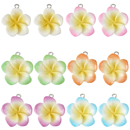 24Pcs 6 Colors Resin Pendants RESI-SC0006-06-1