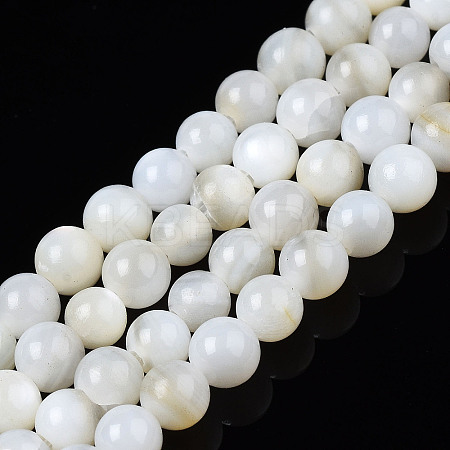 Natural Freshwater Shell Beads Strands X-BSHE-T009A-01A-1