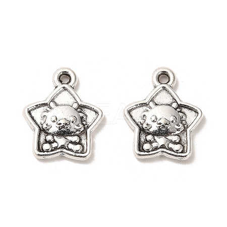 Tibetan Style Alloy Pendants LS-FIND-C043-047AS-1