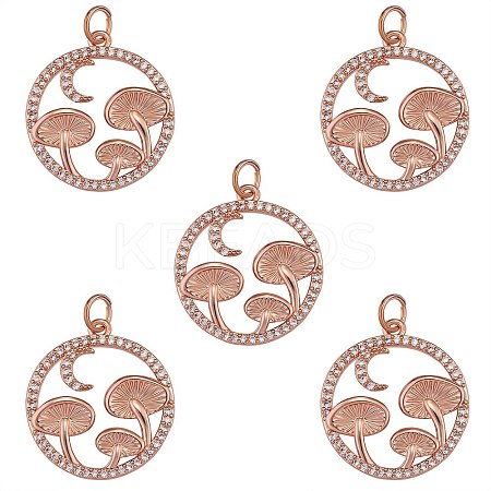 5Pcs Brass Micro Pave Clear Cubic Zirconia Pendants ZIRC-SZ0003-33A-1