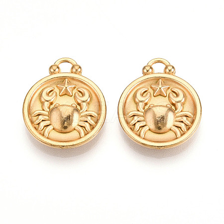 304 Stainless Steel Pendants STAS-N109-148G-04-1