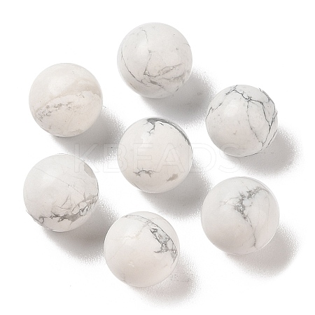 Natural Howlite No Hole Sphere Beads G-K353-04A-20-1