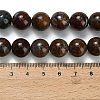 Natural Pietersite Beads Strands G-L642-B16-12mm-5