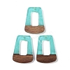 Resin & Wood Pendants WOOD-F015-11C-1