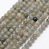 Natural Labradorite Beads Strands G-P322-29-4mm-1