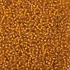 TOHO 8/0 Round Beads X-SEED-TR08-0030F-2