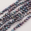Electroplated Natural Cultured Freshwater Pearl Beads Strands PEAR-G007-06A-1
