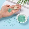 6/0 Glass Seed Beads SEED-A015-4mm-2219-5