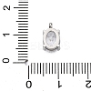 304 Stainless Steel Micro Pave Cubic Zirconia Charms STAS-L022-160P-A02-3