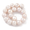 Natural Cultured Freshwater Pearl Beads Strands PEAR-C003-21E-4