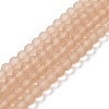 Transparent Glass Beads Strands EGLA-A034-T10mm-MD20-1