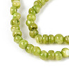 Natural Freshwater Shell Dyed Beads Strands SHEL-T020-29B-04-3