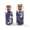 Glass Wishing Bottle Display Decorations AJEW-T013-02D-1