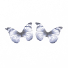 Polyester Fabric Wings Crafts Decoration X-FIND-S322-010C-08-2