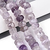 Natural Amethyst Beads Strands G-N347-17A-03-1