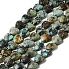 Natural African Turquoise(Jasper) Beads Strands G-P575-C18-6mm-2