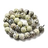 Faceted Natural Fire Crackle Agate Beads Strands G-F447-12mm-J01-3