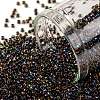 TOHO Round Seed Beads SEED-JPTR15-0245-1