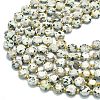 Natural Sesame Jasper Beads Strands G-C116-A141-01-3
