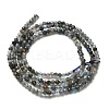 Natural Apatite Beads Strands LS-G-RM2025-A23-2mm-3