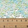 Macaron Color Opaque Frosted Glass Seed Beads SEED-K009-12B-03-4