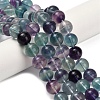 Natural Fluorite Beads Strands G-L634-B04-10mm-1