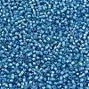 MIYUKI Delica Beads SEED-X0054-DB1709-3