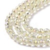 Electroplate Transparent Glass Beads Strands X1-GLAA-H021-01B-FR04-5