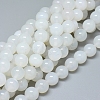 Natural White Agate Beads Strands G-D0005-27-12mm-1