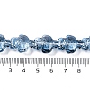Transparent Glass Enamel Beads Strands GLAA-B021-06I-4