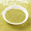 MIYUKI Round Rocailles Beads SEED-X0054-RR1006-2